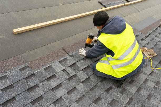 Best Roof Gutter Cleaning  in Mission, TX