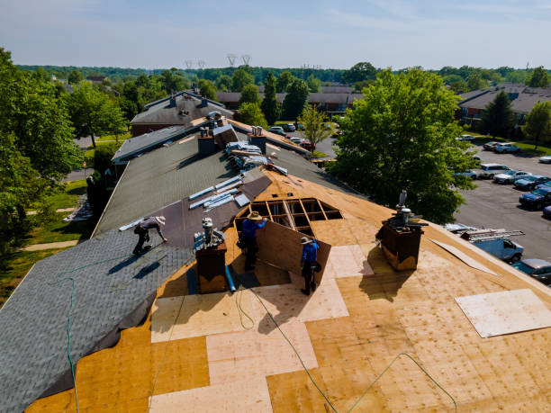 Quick and Trustworthy Emergency Roof Repair Services in Mission, TX
