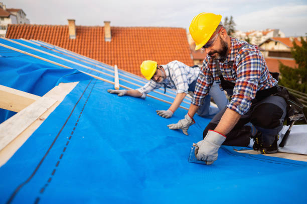 Best Flat Roof Repair Services  in Mission, TX