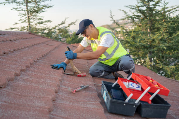 Sealant for Roof in Mission, TX